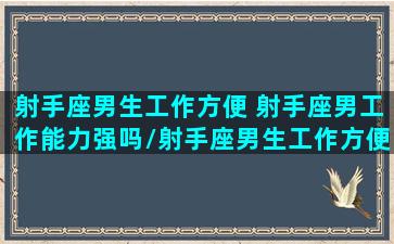 射手座男生工作方便 射手座男工作能力强吗/射手座男生工作方便 射手座男工作能力强吗-我的网站